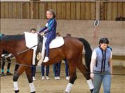 voltitag 2009 _CD1 089